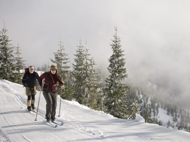 cross country skiers ski the Mount Tahoma Trails, WA, USA